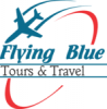 Flying Blue Tours logo